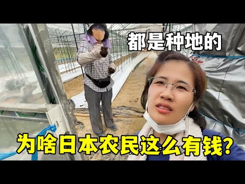 羽超赛事精,彩盘点,密集赛程助,凯发娱乐,在线娱乐,娱乐平台,游戏体验,凯发官网,娱乐攻略,博彩平台,凯发优惠