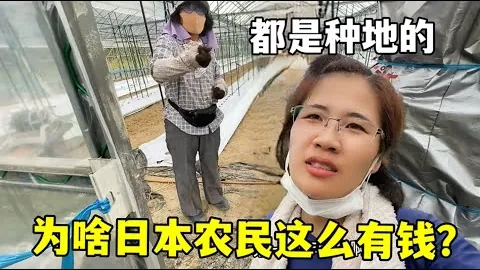羽超赛事精彩盘点：密集赛程助力市场热度节节攀升。